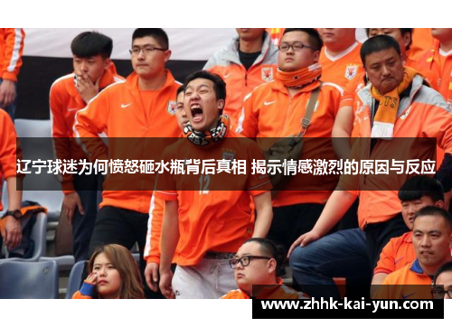 辽宁球迷为何愤怒砸水瓶背后真相 揭示情感激烈的原因与反应